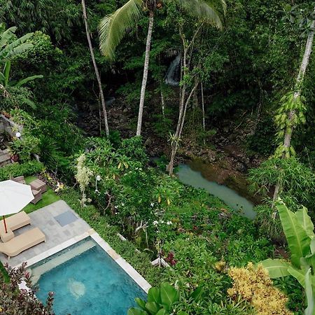 Campuhan Guesthouse Selemadeg 外观 照片