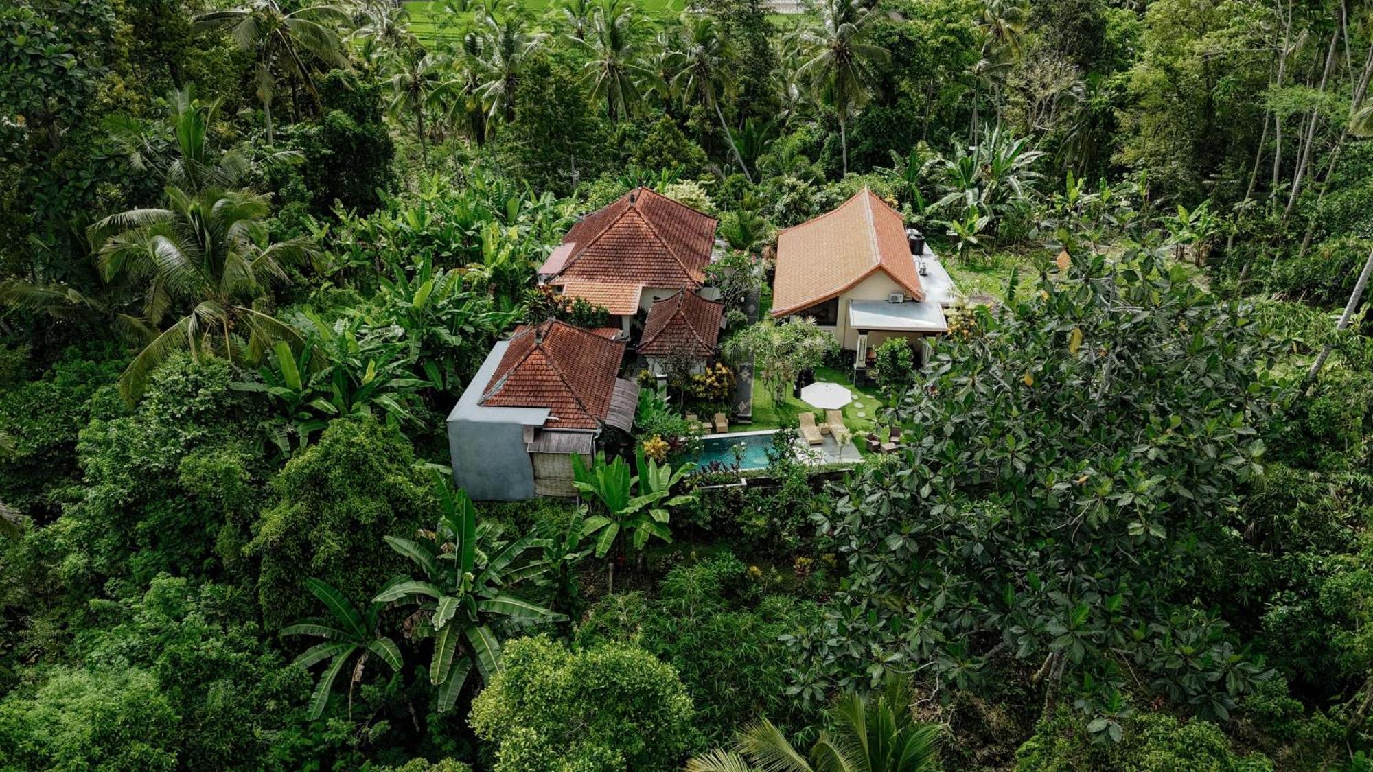 Campuhan Guesthouse Selemadeg 外观 照片