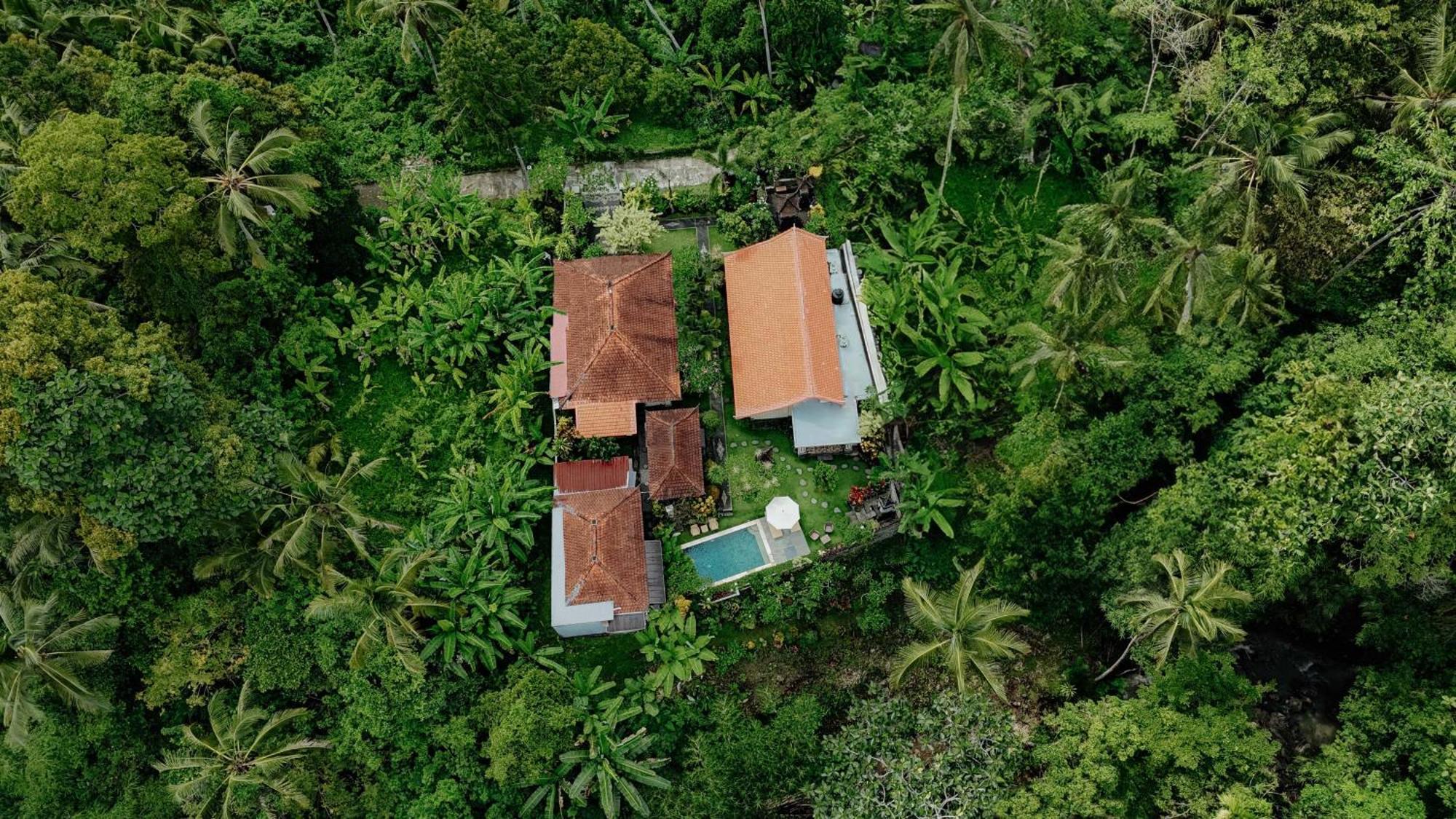 Campuhan Guesthouse Selemadeg 外观 照片